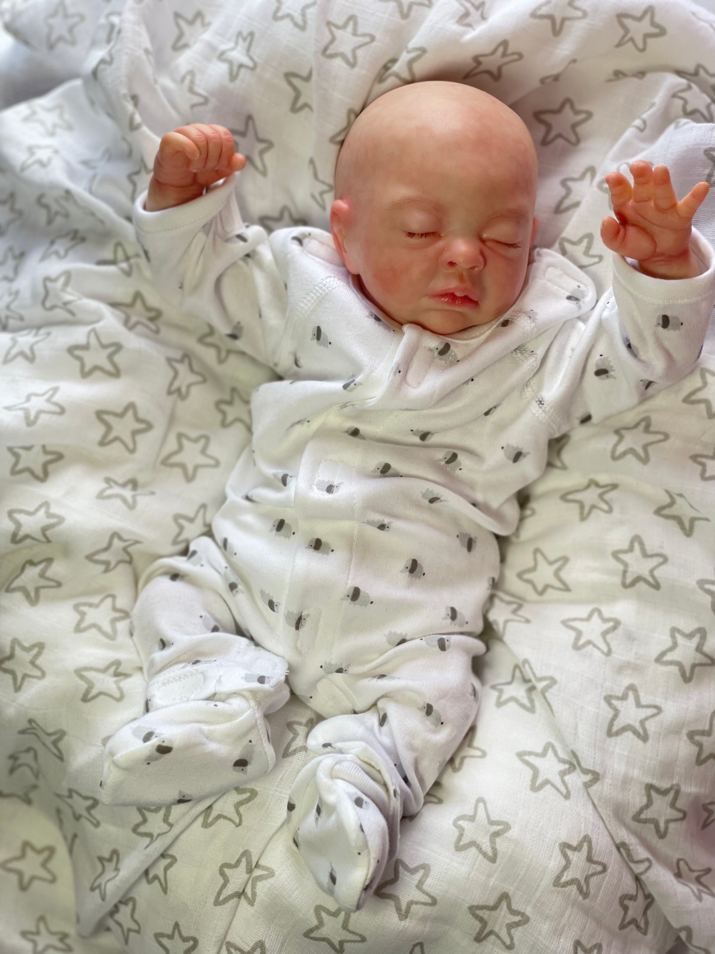 Teagan Reborn Baby Doll - Denise Pratt