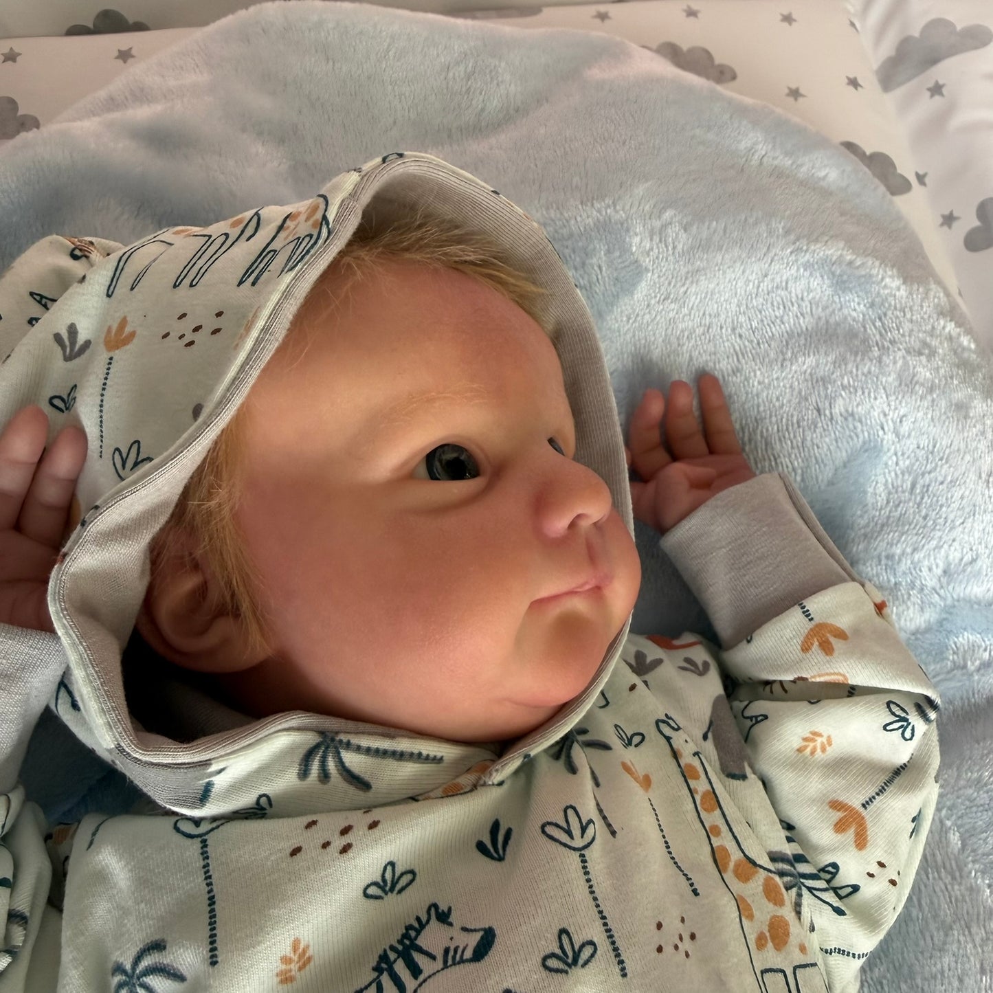 Ayla Reborn Baby Doll - Tay Freitas